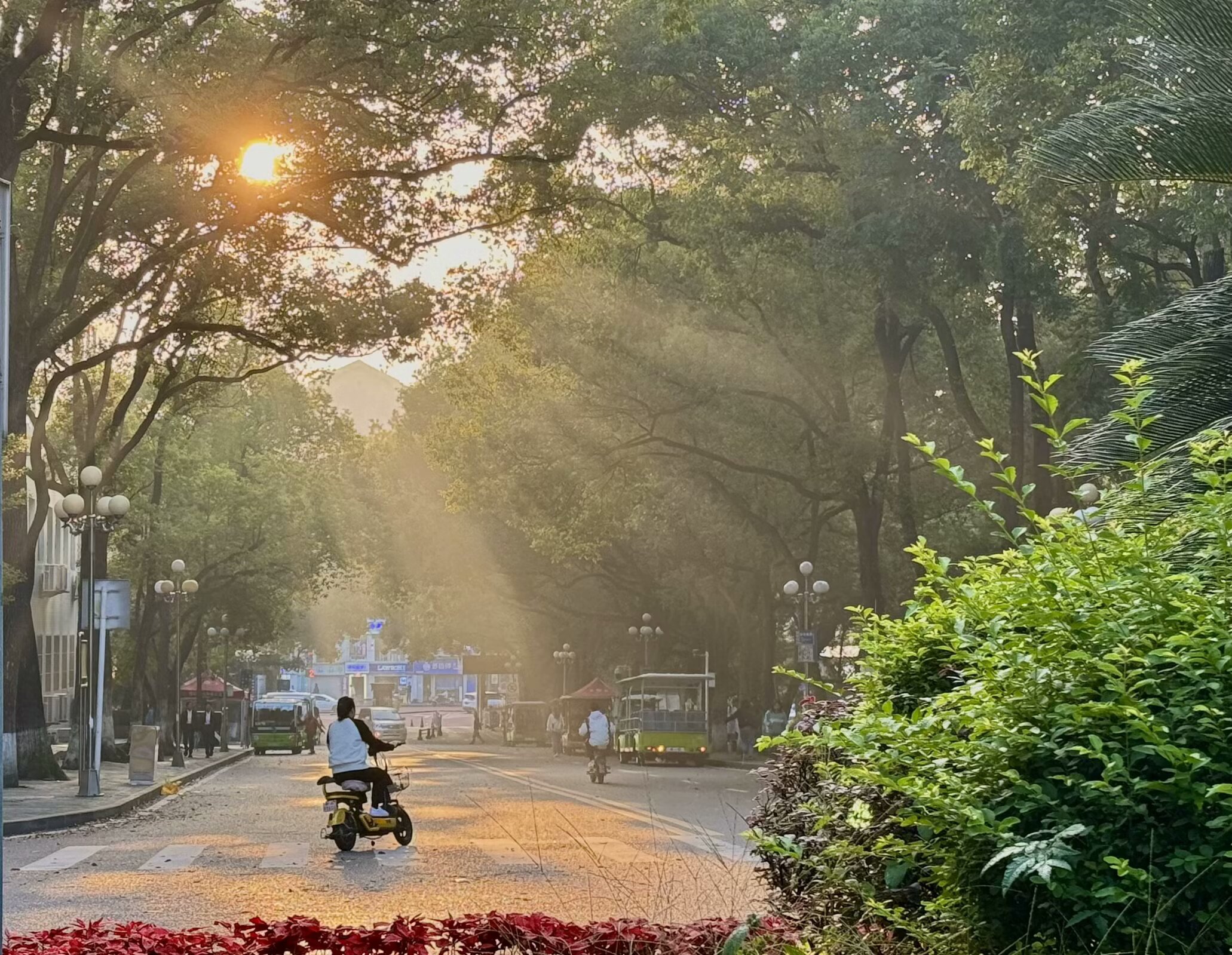 Southwest University